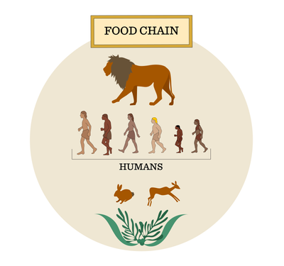 Sapiens first chapter
