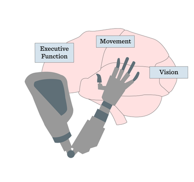 Sapiens fourth chapter