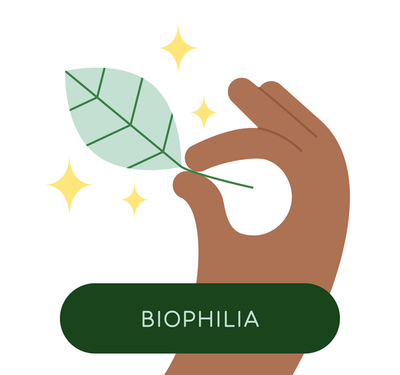 Happy Plant first chapter