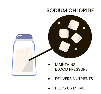 Salt, Fat, Acid, Heat first chapter