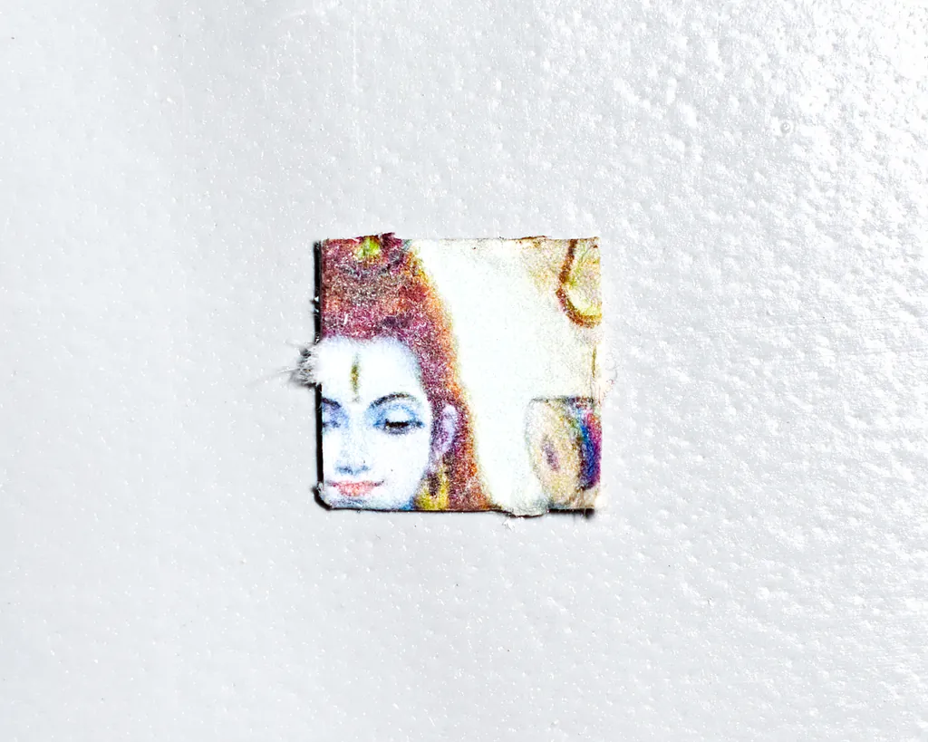 Shiva molecular scheme