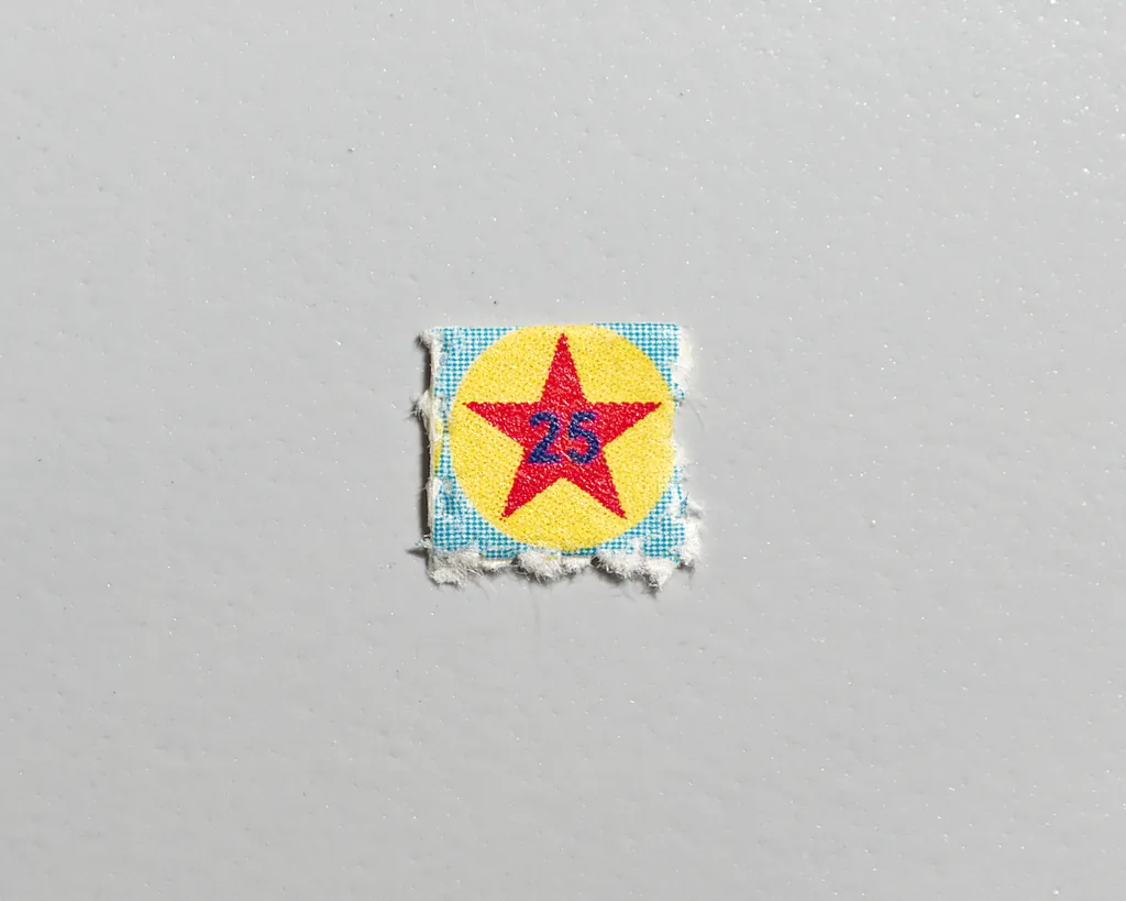 Star 25 molecular scheme