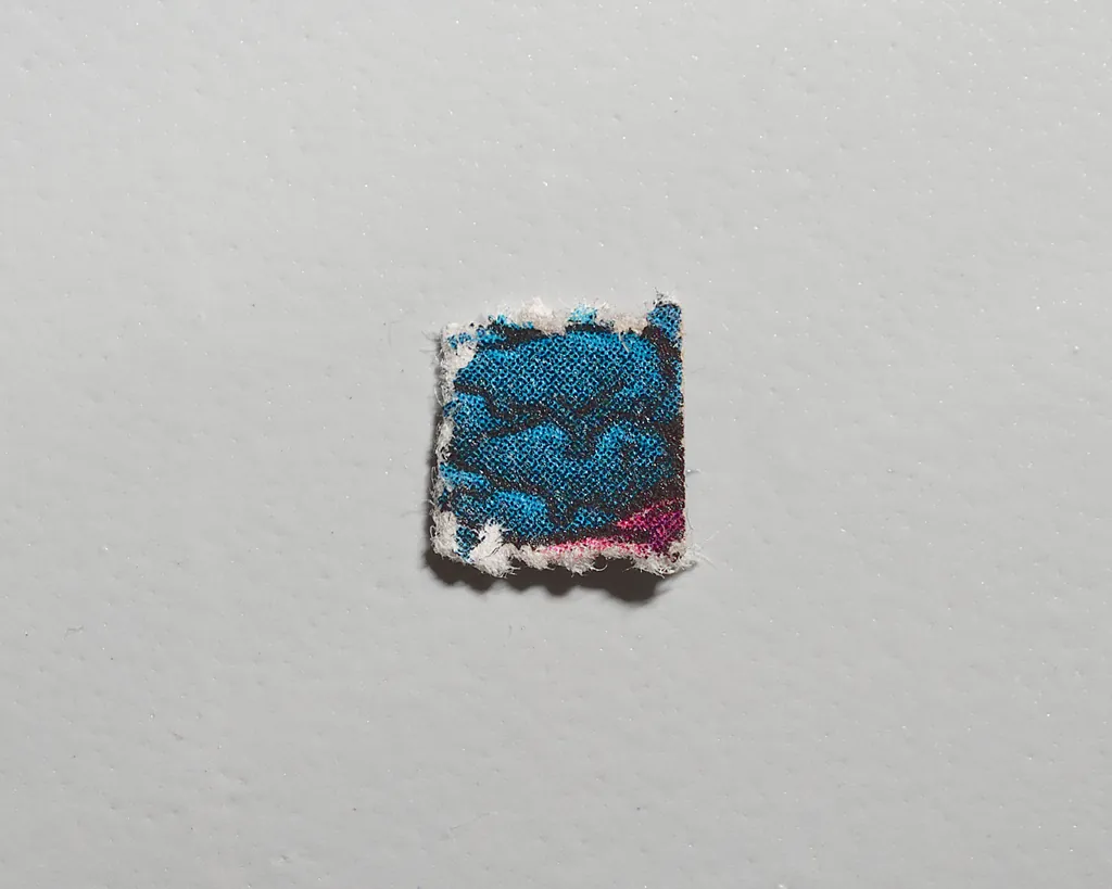 Blotter molecular scheme