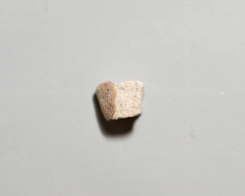 Paracetamol molecular scheme