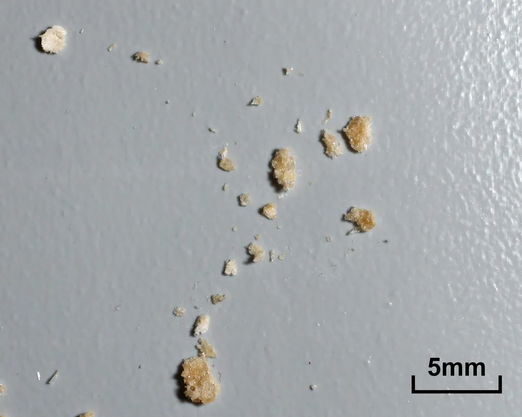 Mephedrone molecular scheme