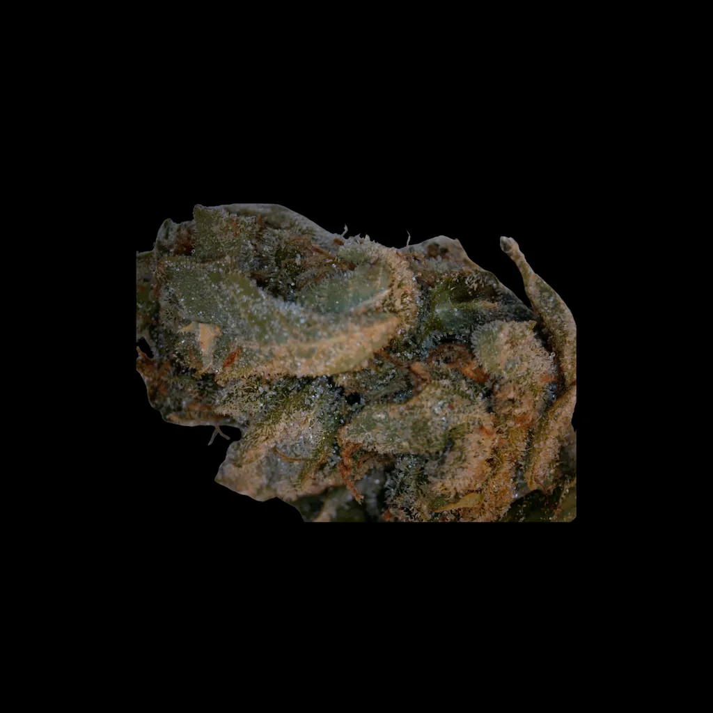 Cannabis molecular scheme