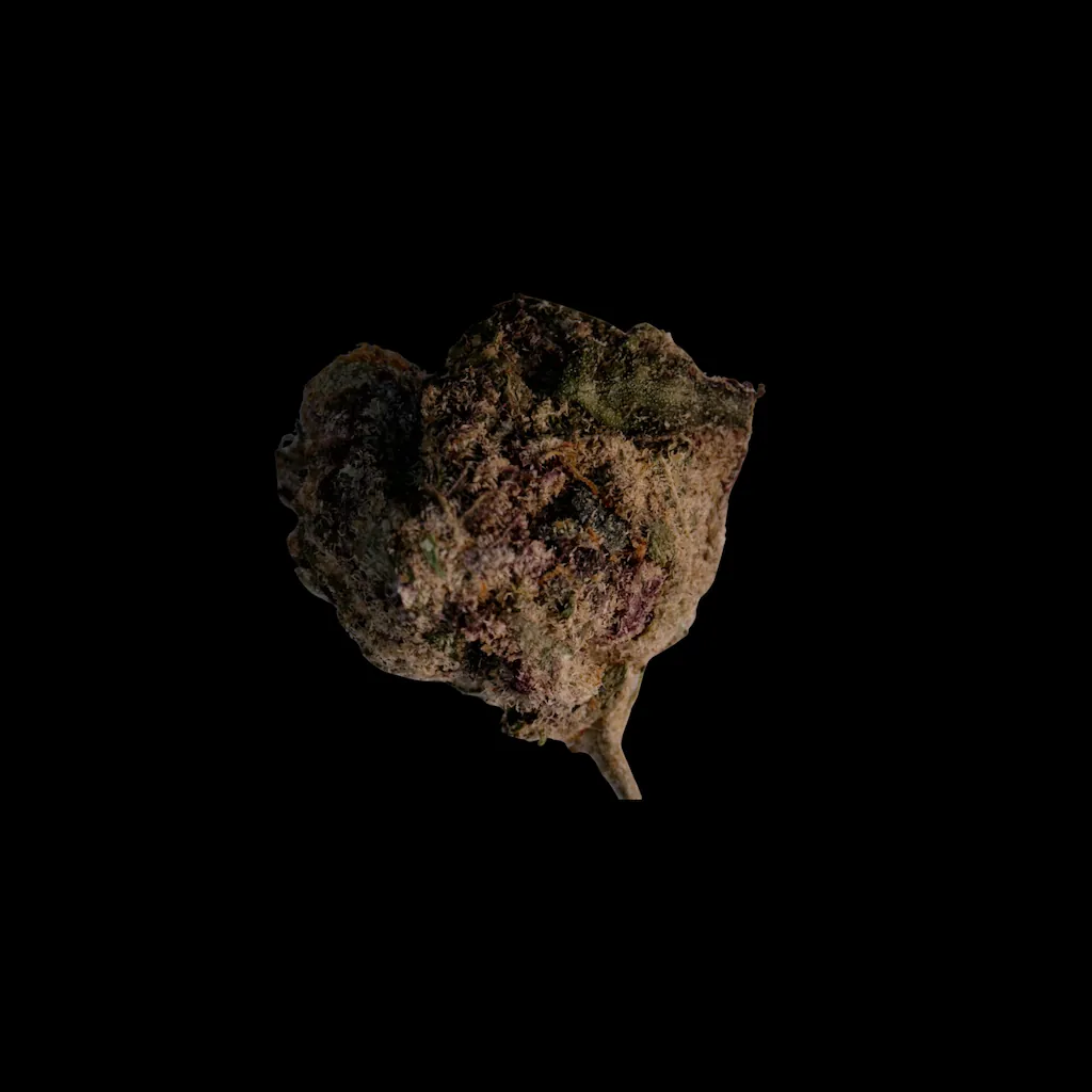 Cannabis molecular scheme