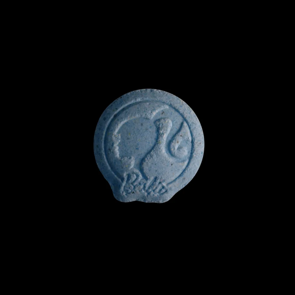 Barbie molecular scheme