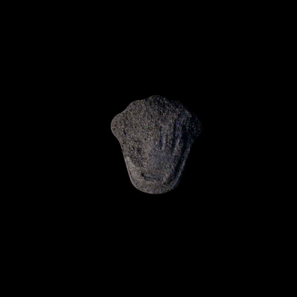 Rolex molecular scheme