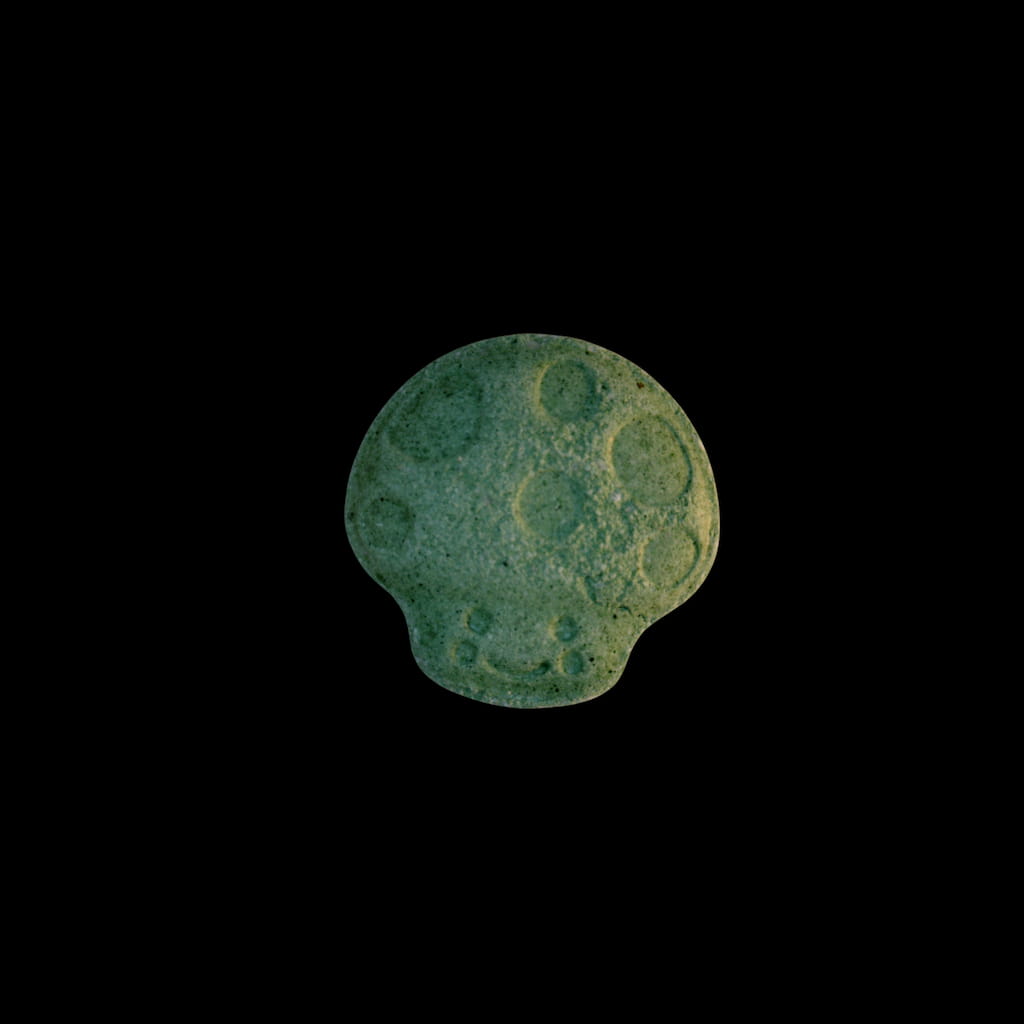 Mushroom molecular scheme