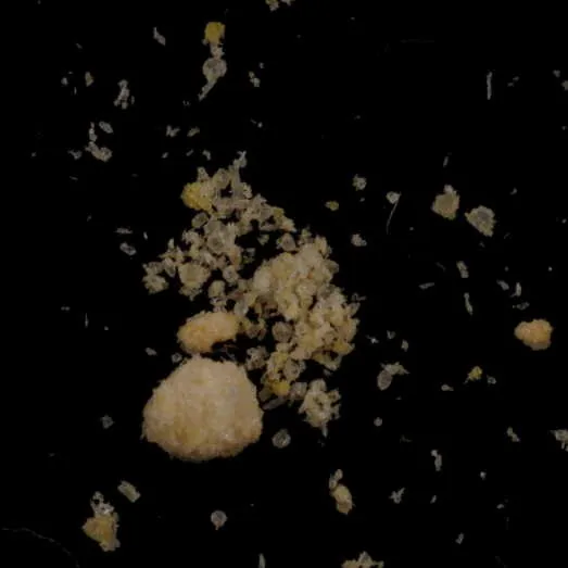 Mephedrone molecular scheme