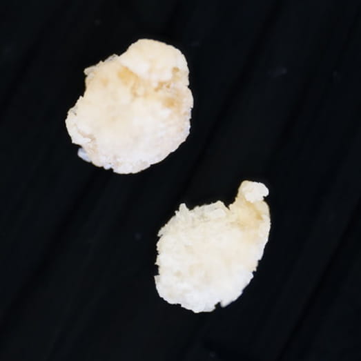 Mephedrone molecular scheme