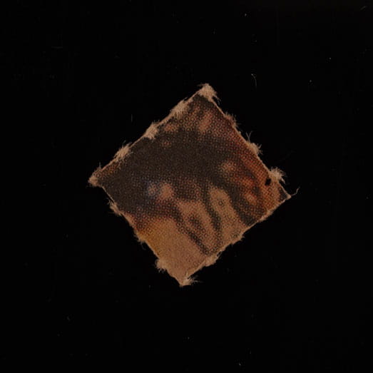 Blotter molecular scheme