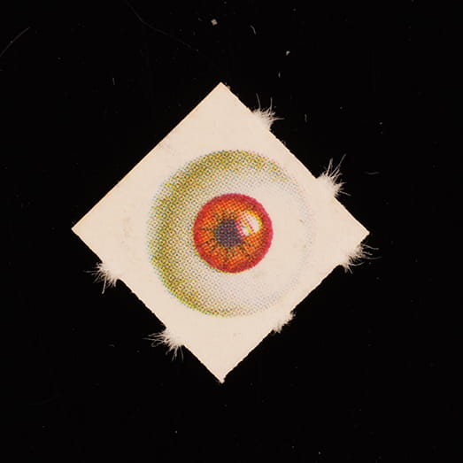 Blotter molecular scheme