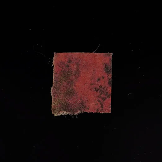 Blotter molecular scheme