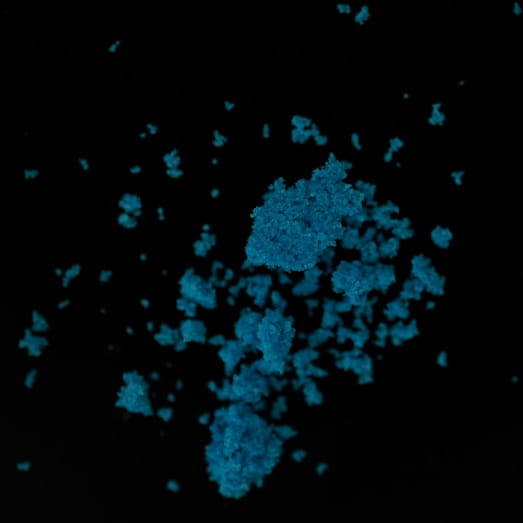 MDMA molecular scheme