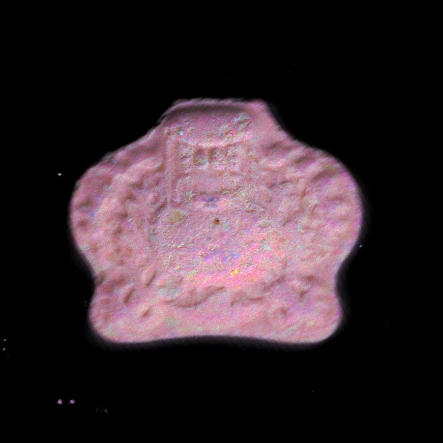 Kenzo molecular scheme