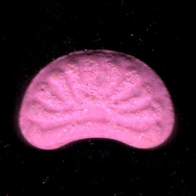 Sunrise molecular scheme