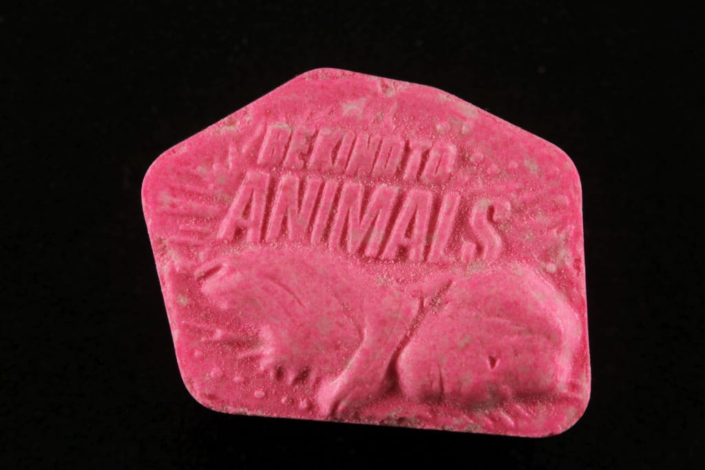 Be kind to animals molecular scheme