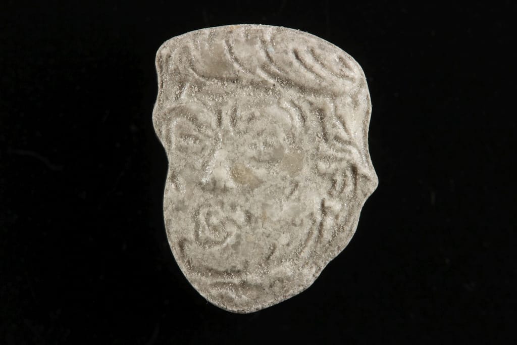 Donald Trump molecular scheme