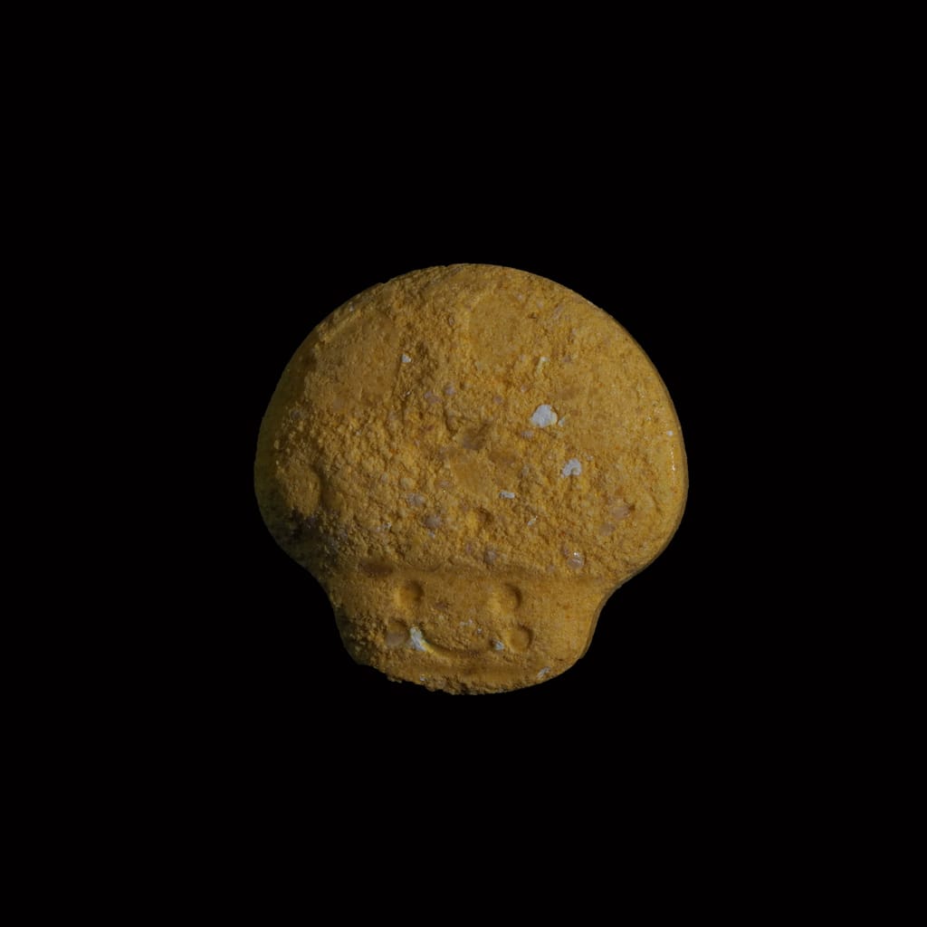 Mushroom molecular scheme