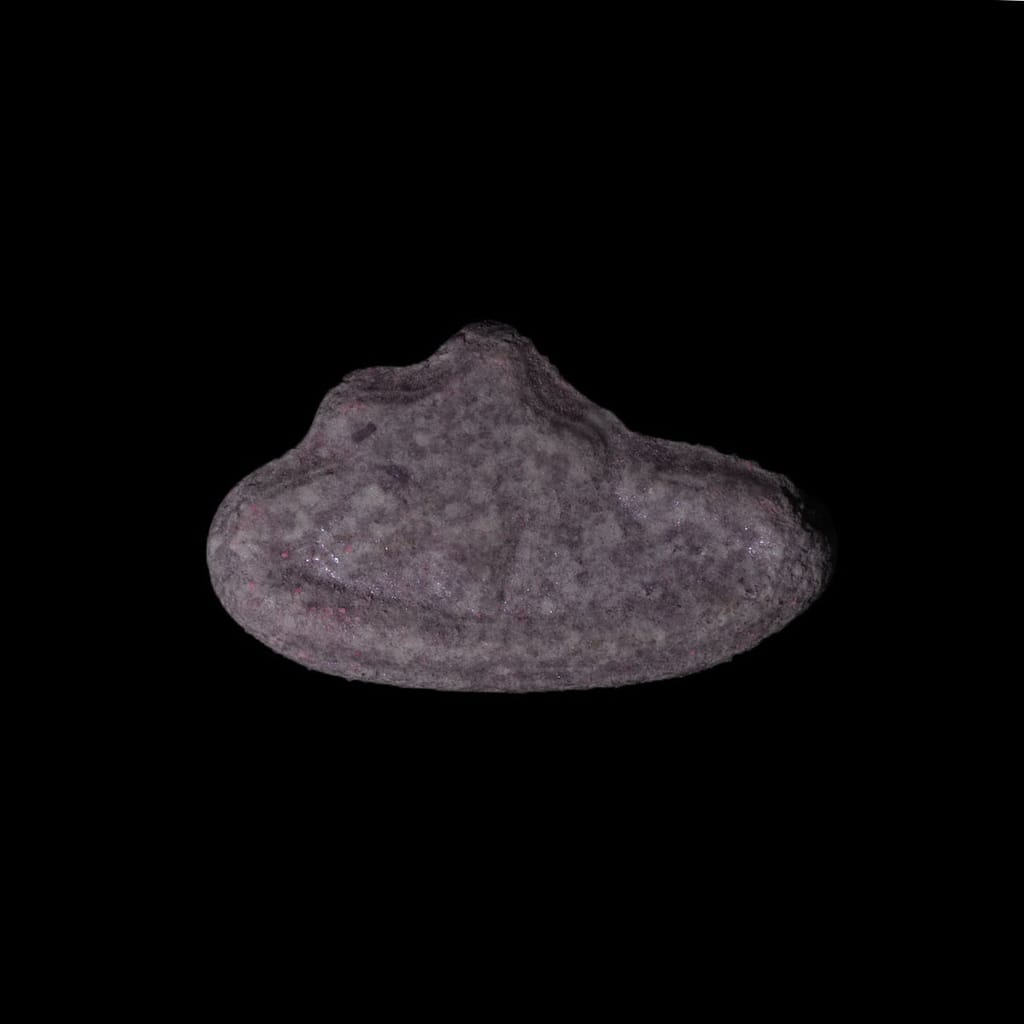 Pop Smoke molecular scheme