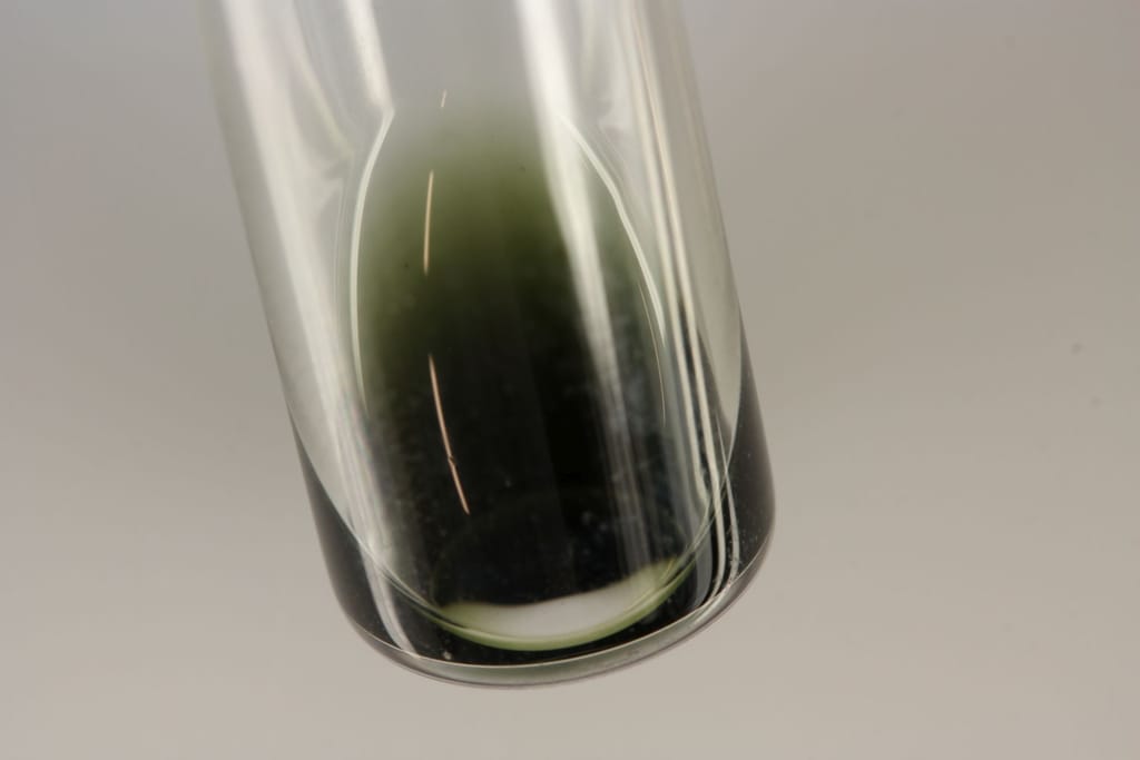 Psilocin and 4-AcO-DMT sold as DMT molecular scheme