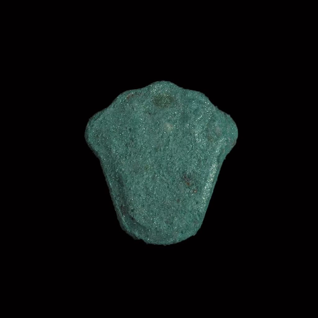 Rolex molecular scheme