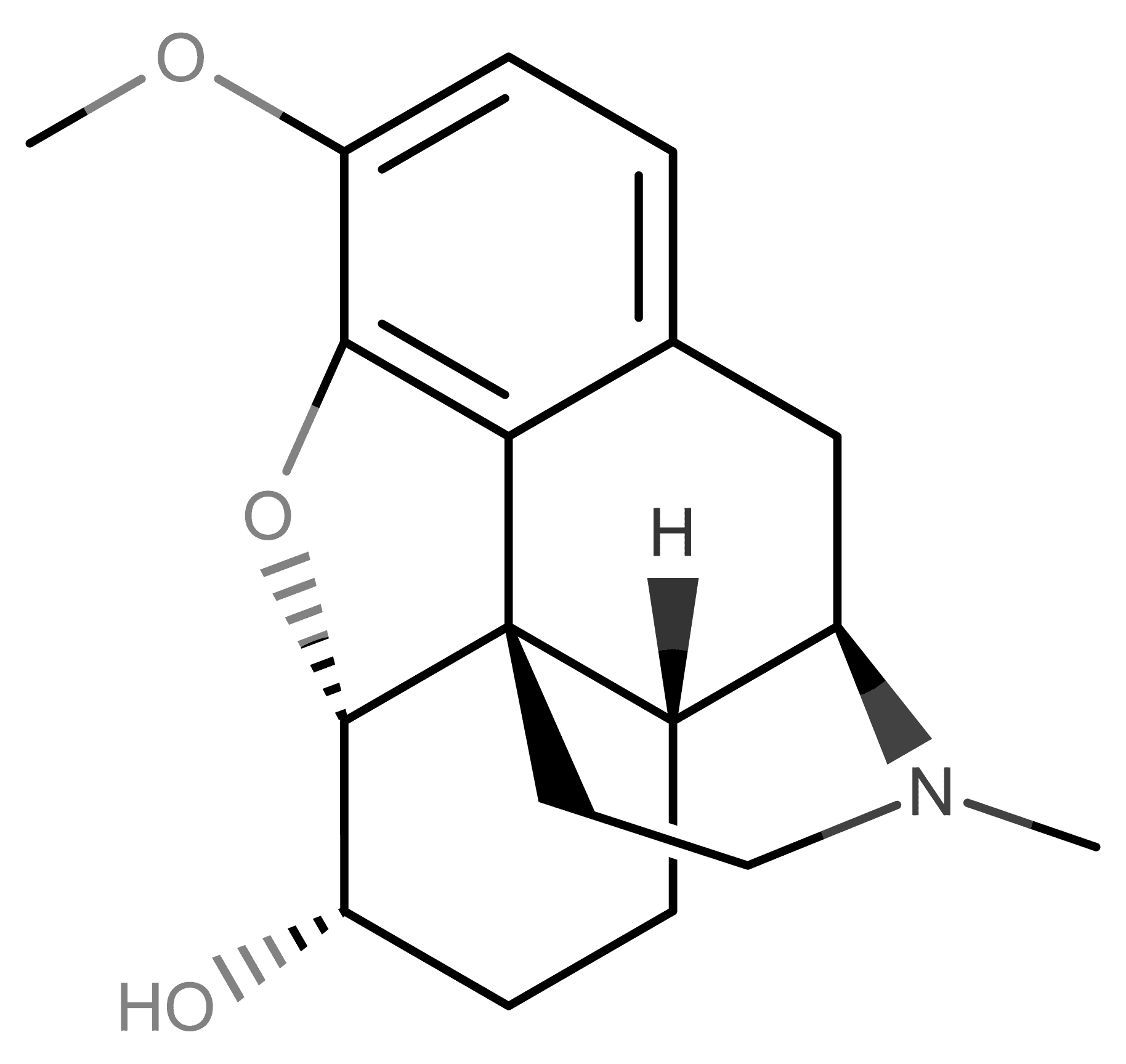 Dihydrocodeine molecular scheme