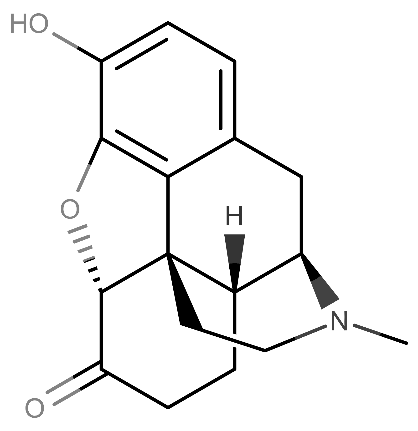 Hydromorphone molecular scheme