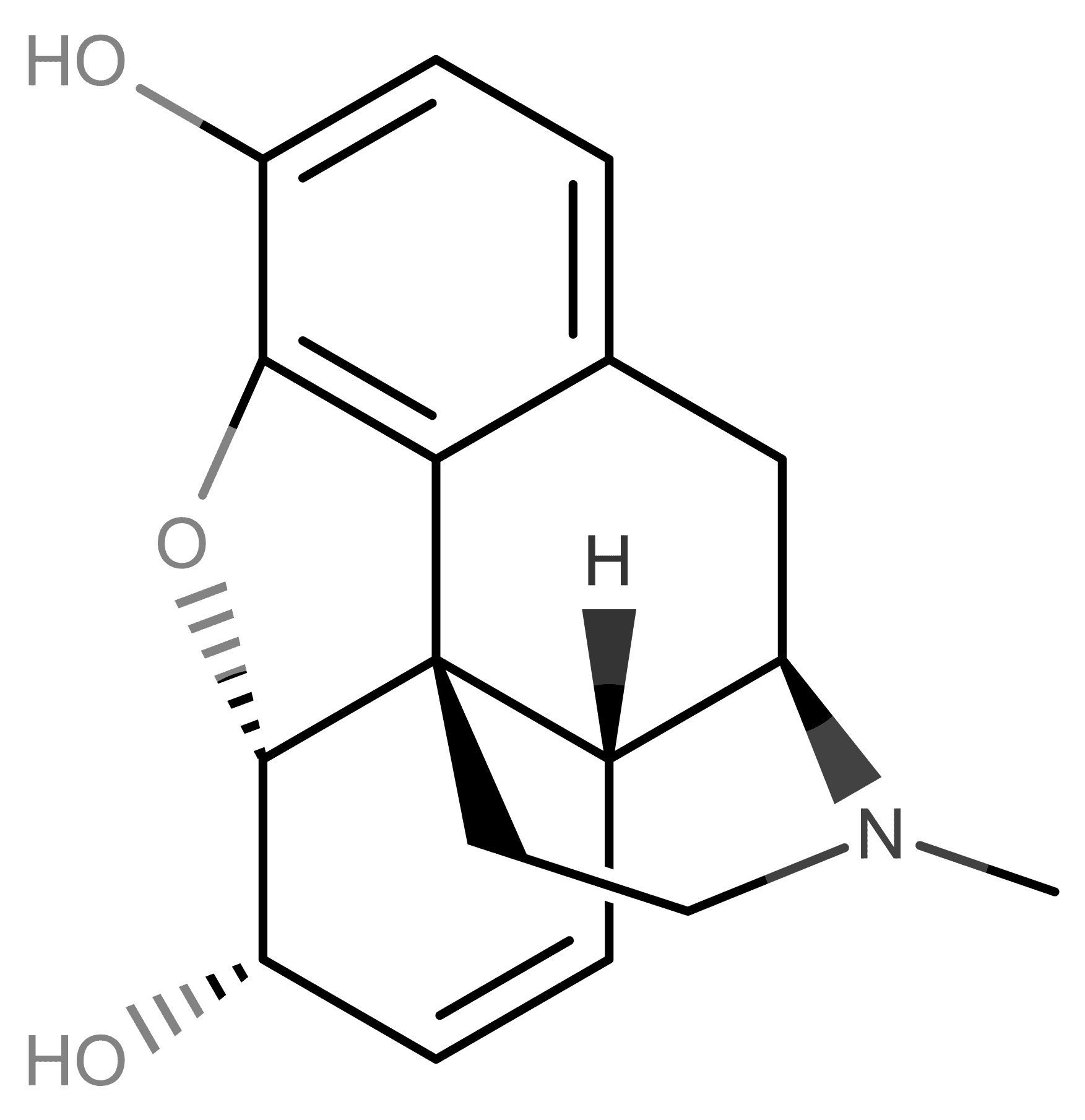 Morphine molecular scheme