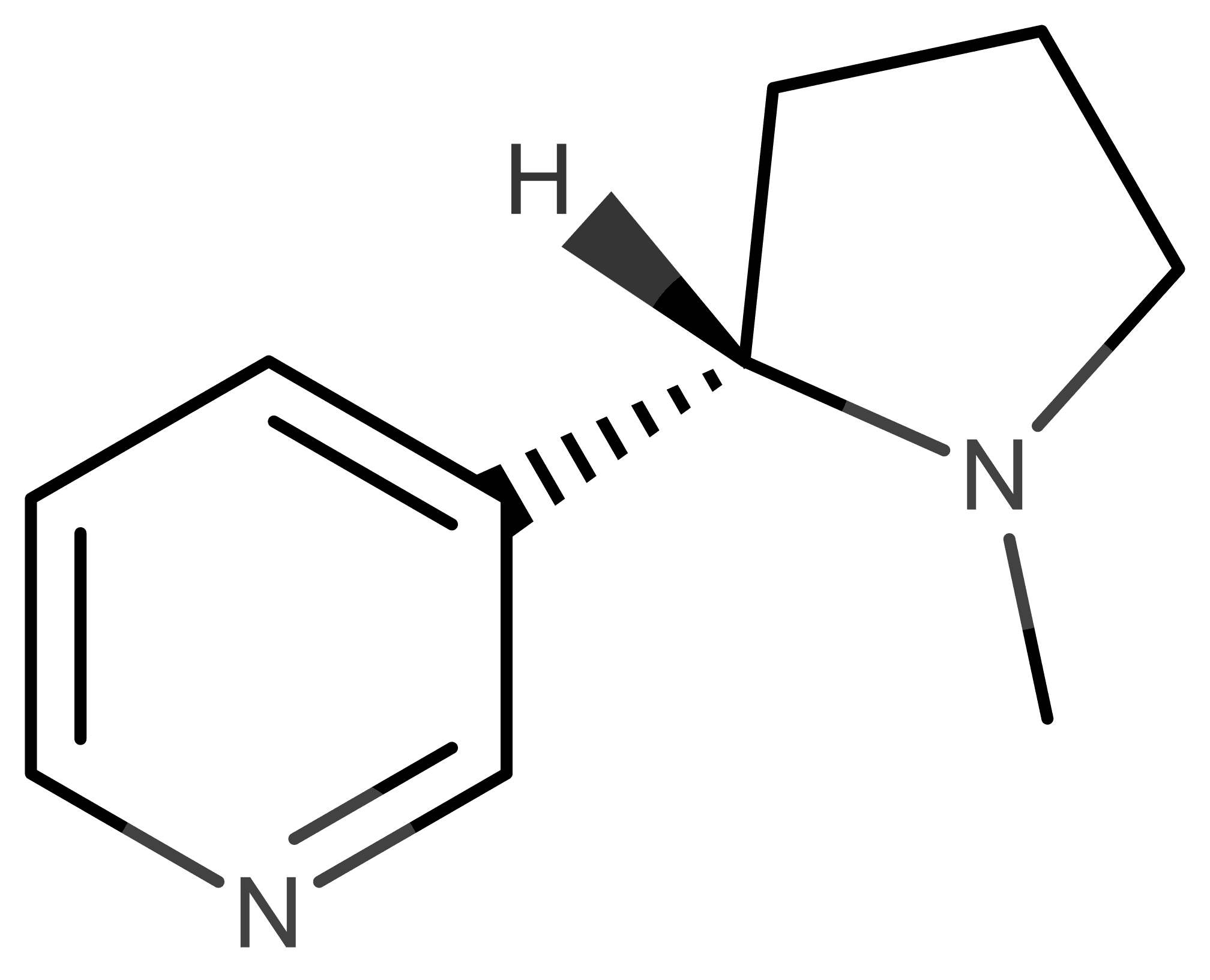 Nicotine molecular scheme
