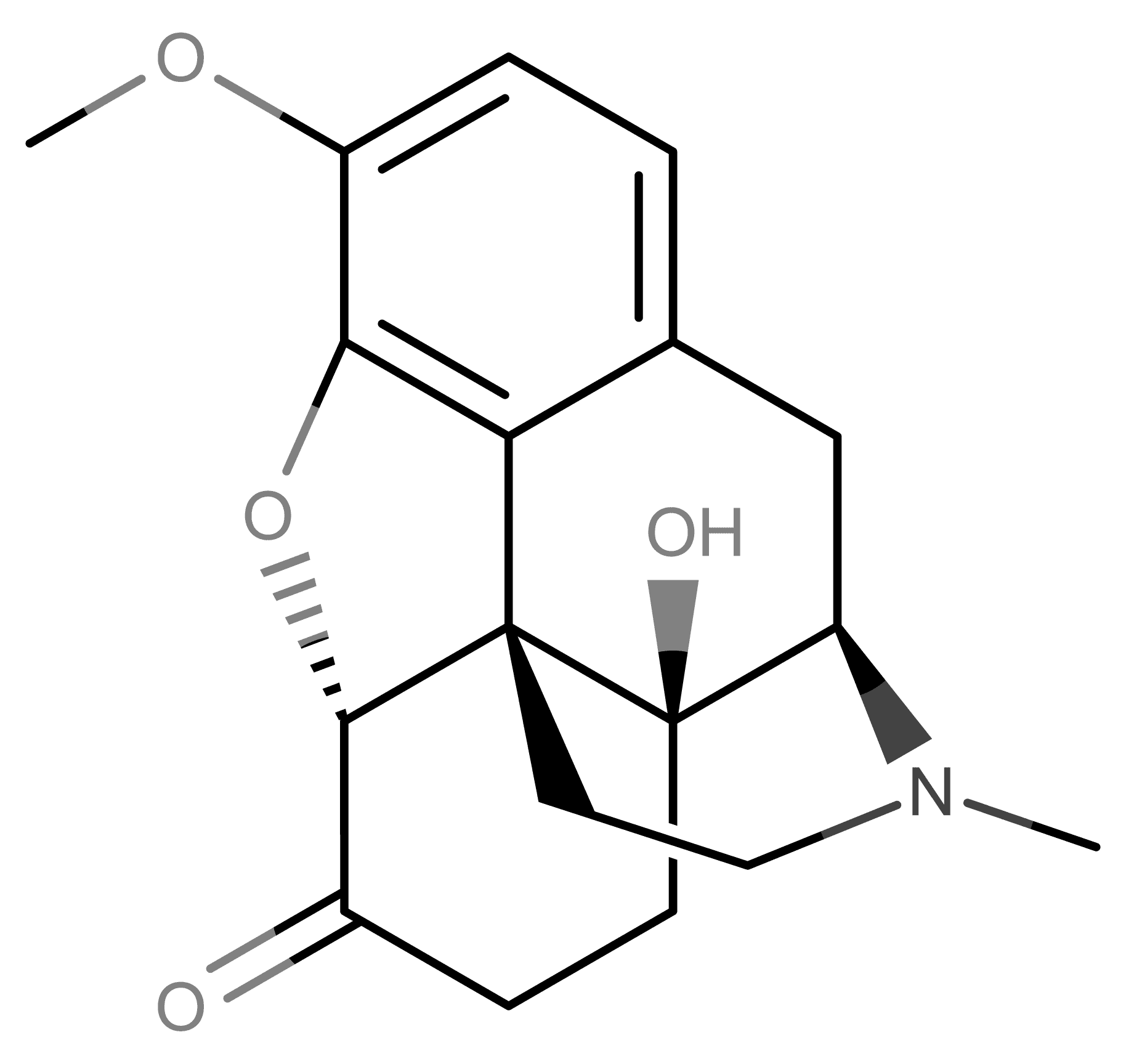 Oxycodone molecular scheme