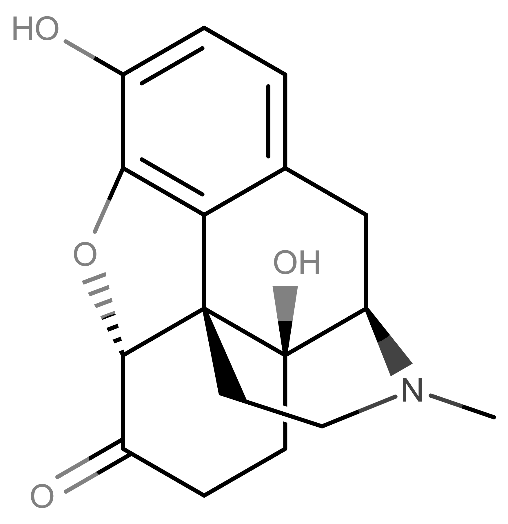 Oxymorphone molecular scheme