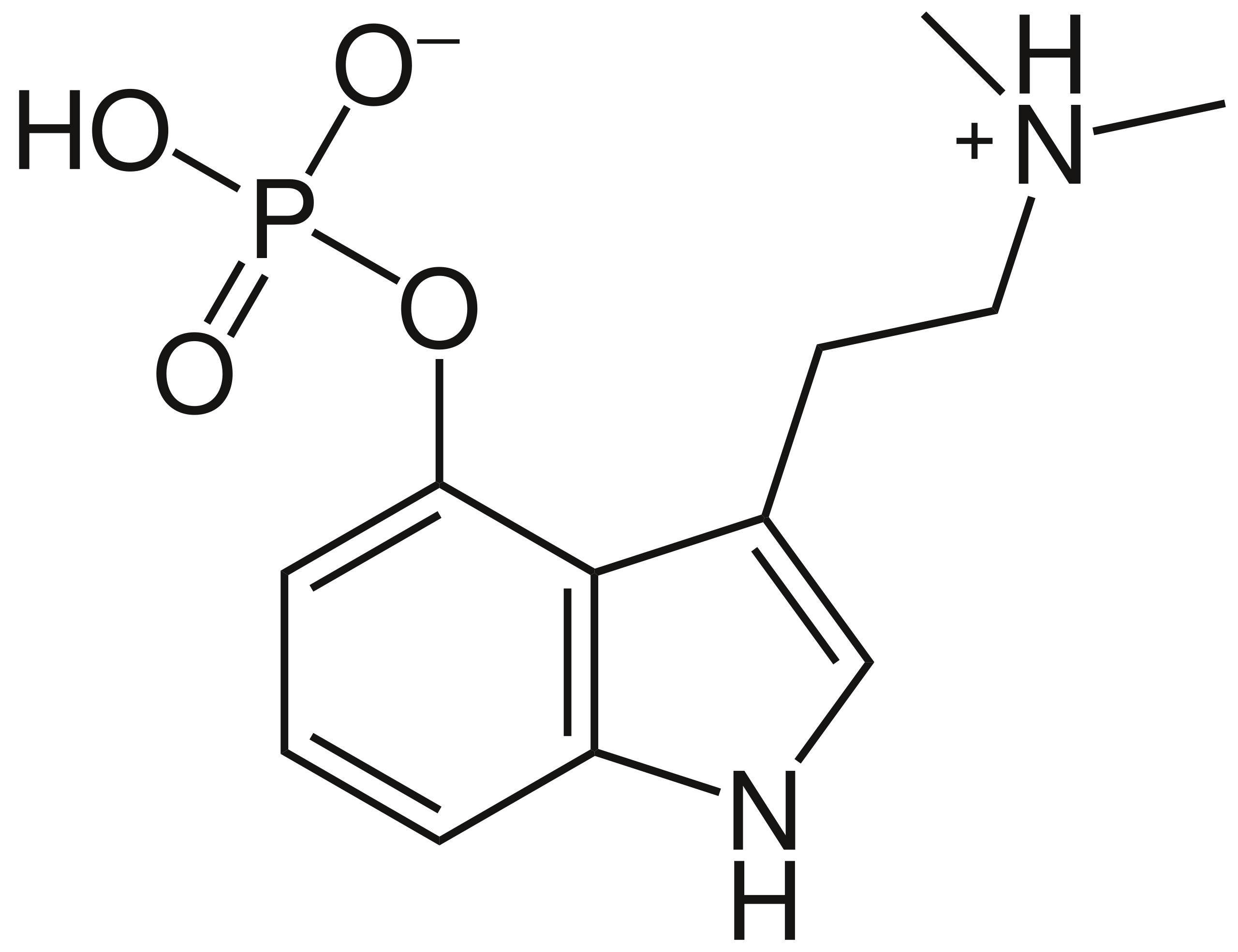 Psilocybin molecular scheme