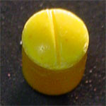 Split molecular scheme