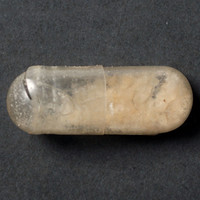 Molly molecular scheme