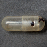 Black Substance molecular scheme