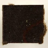 Schmetterling molecular scheme