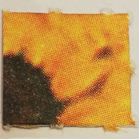 Blotter molecular scheme