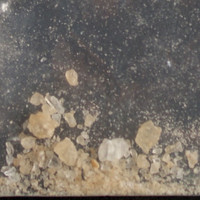 Molly molecular scheme