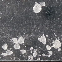 MDMA molecular scheme