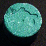 Dolphin molecular scheme