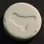 Bird molecular scheme