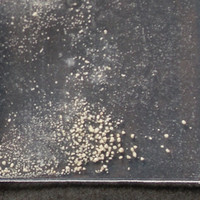 Tan Rock molecular scheme