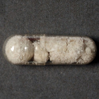 Molly molecular scheme