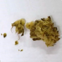 Adulterated Cannabis molecular scheme