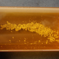 MDMA molecular scheme