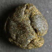 Adulterated Hash molecular scheme