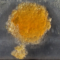 Base molecular scheme